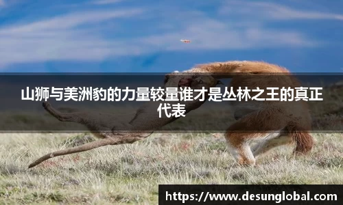 山狮与美洲豹的力量较量谁才是丛林之王的真正代表